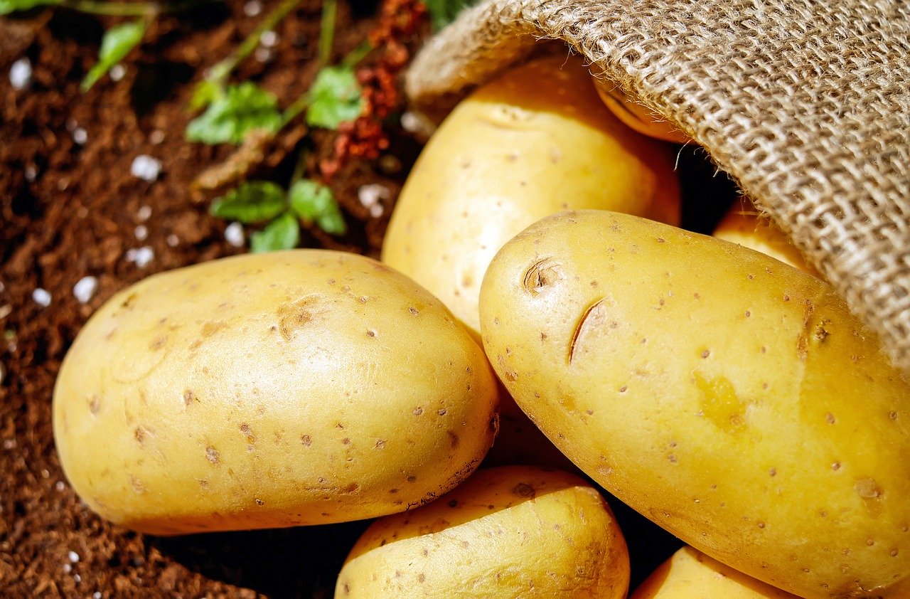 Ako skladovať zemiaky, aby zostali čerstvé